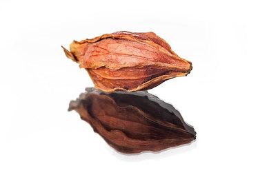 《赤痕：绯红契约》将采用双主角设定 故事发生在前作之前